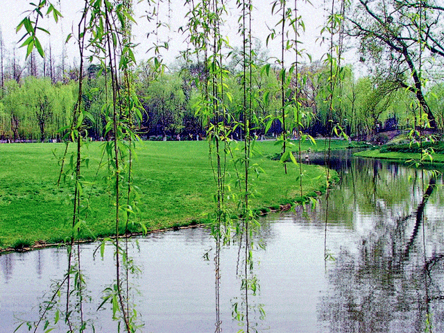 640_480gif 动态图 动图