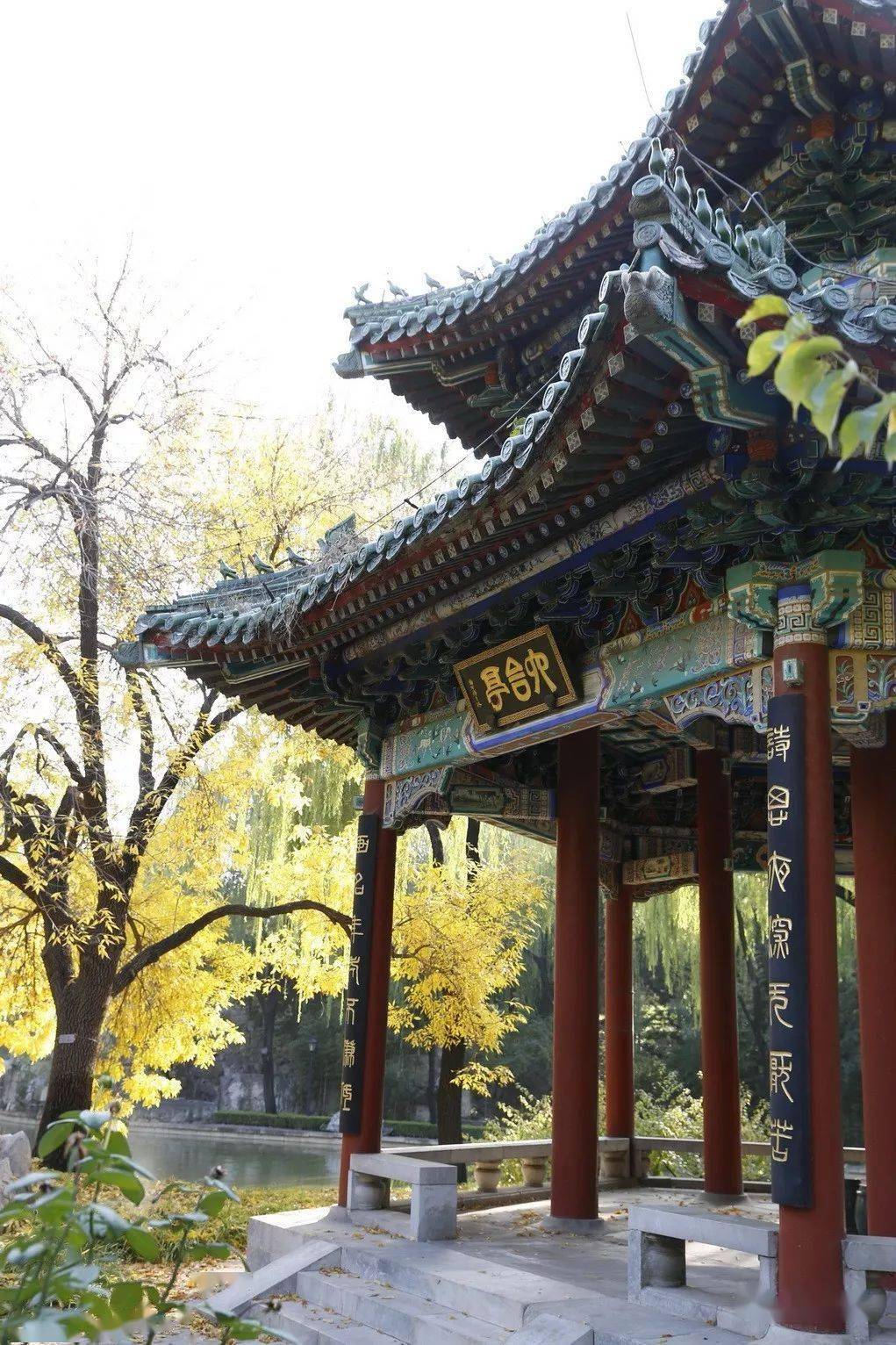 重阳节下中央党校的醉人美景