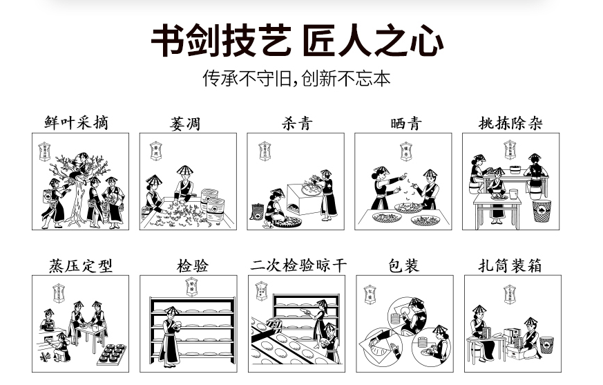 简要制茶工序一览,细分起来还有很多步骤话几句就说完,但话外功夫