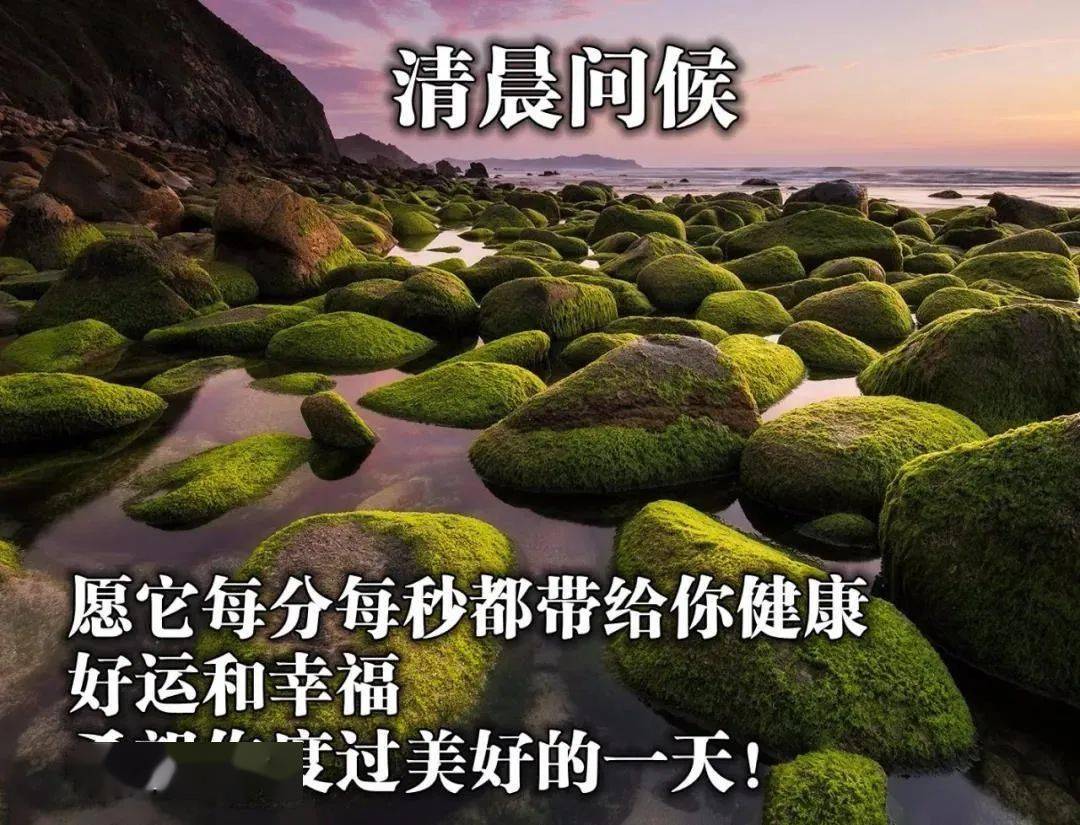 冬天暖心的早安心語問候祝福圖片早上好最美的問候圖片