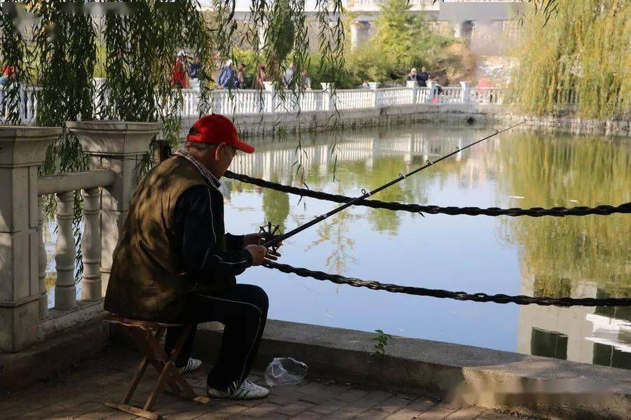 御花园"庆重阳"第五届"快乐老人"钓鱼大赛成功举办