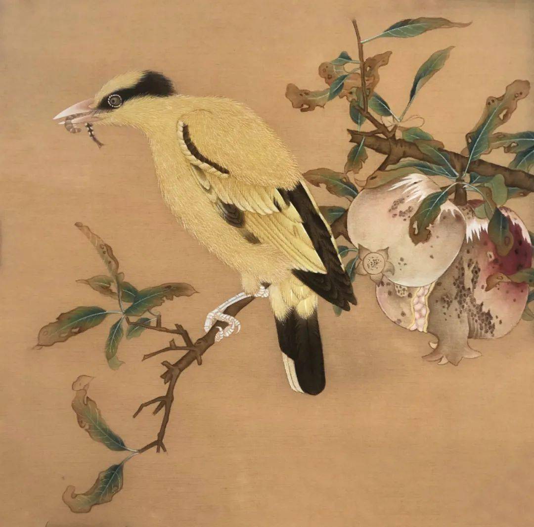 【苏门画苑】2020级中央美术学院苏百钧教授工笔花鸟画高研班课程作品