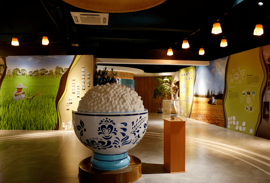 崇明的稻米文化小镇你了解吗