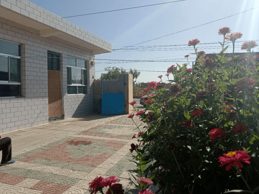 贺兰县美丽庭院展播——"院"生活更美好第七站:常信乡桂文村_朱银香