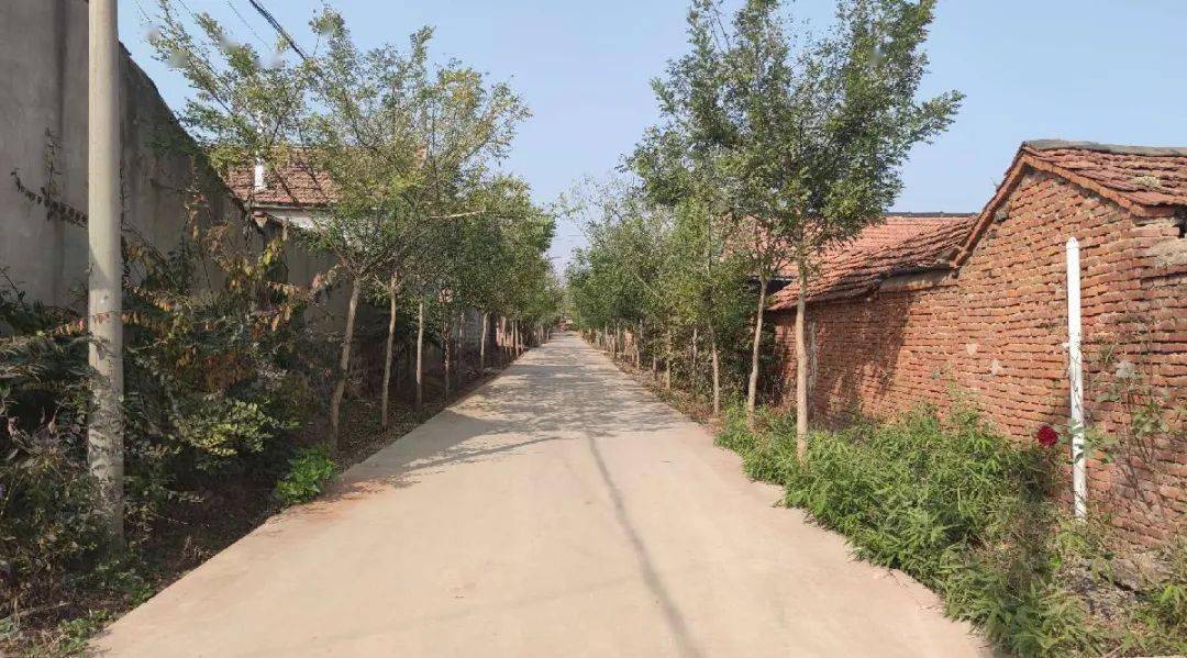 石家高化村赵家高化村小湖村丁郭庄村泉子崖村