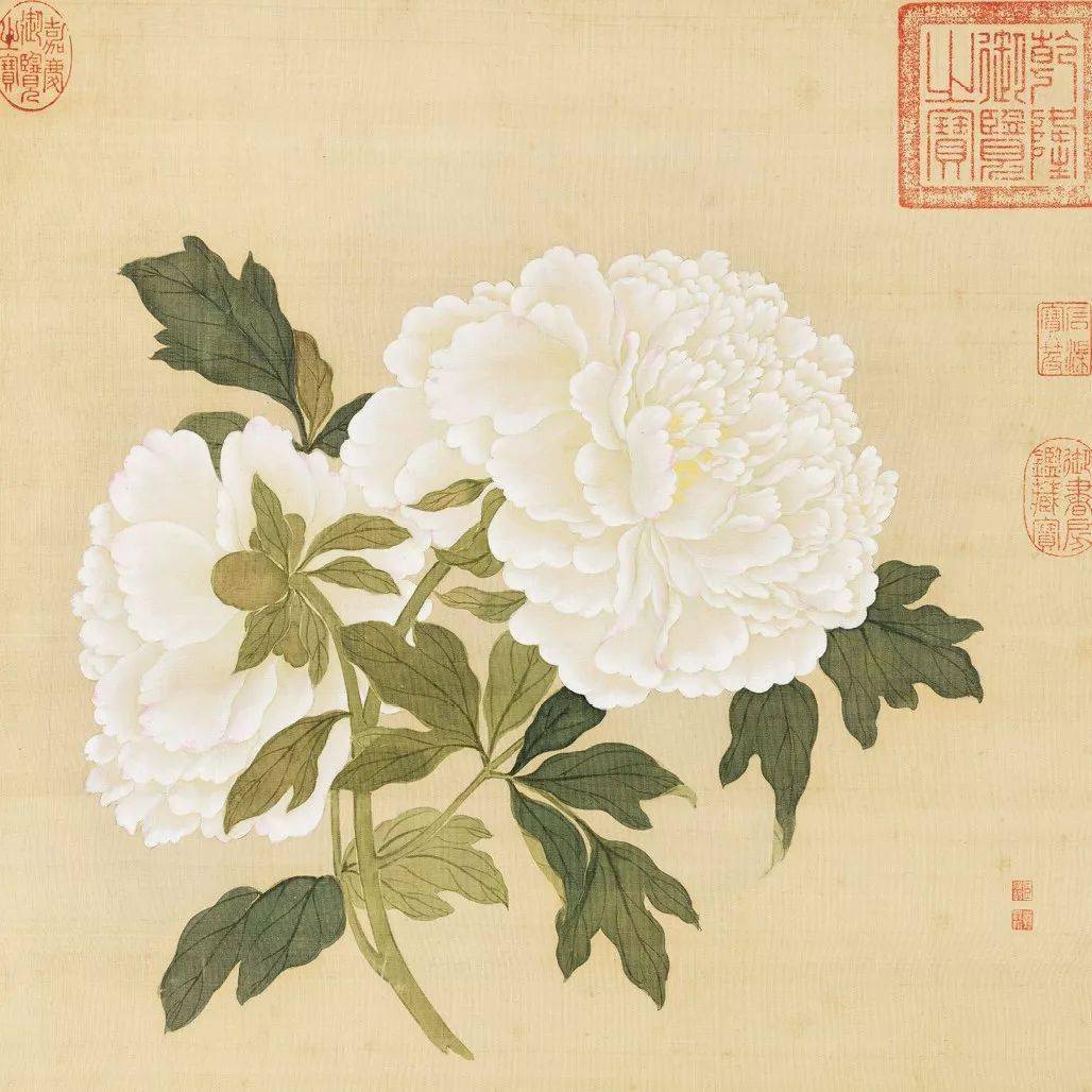 《百种牡丹图》,雍容华贵!