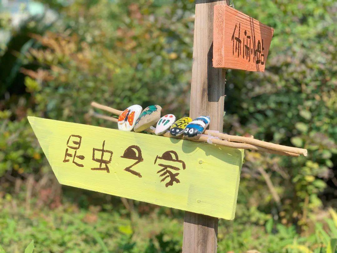 课程星语密林星星园里的昆虫屋