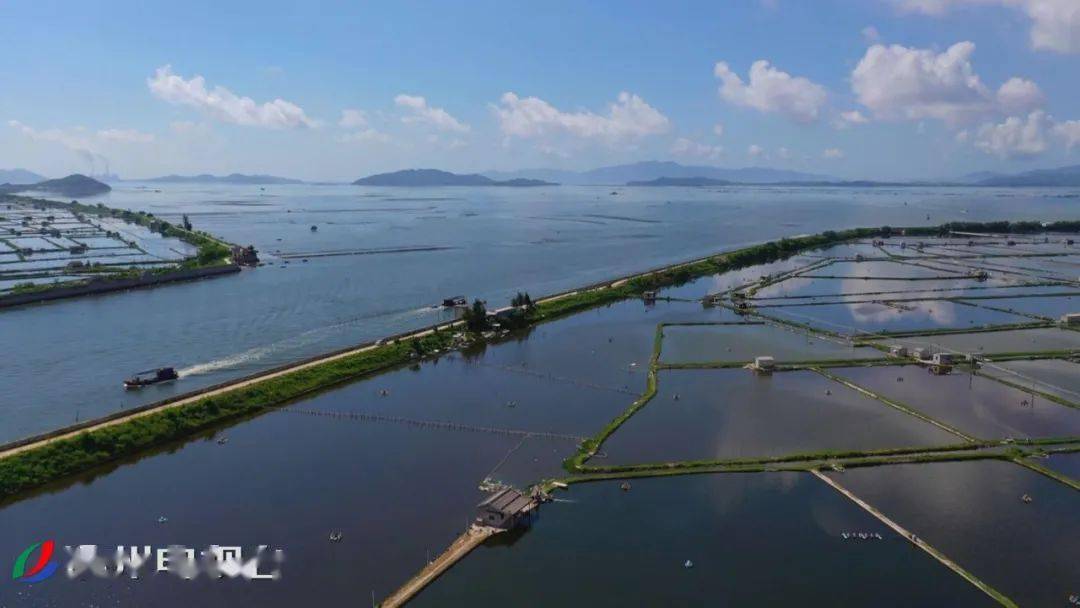 魅力饶平乡村行丨黄冈大澳蝶变渔村