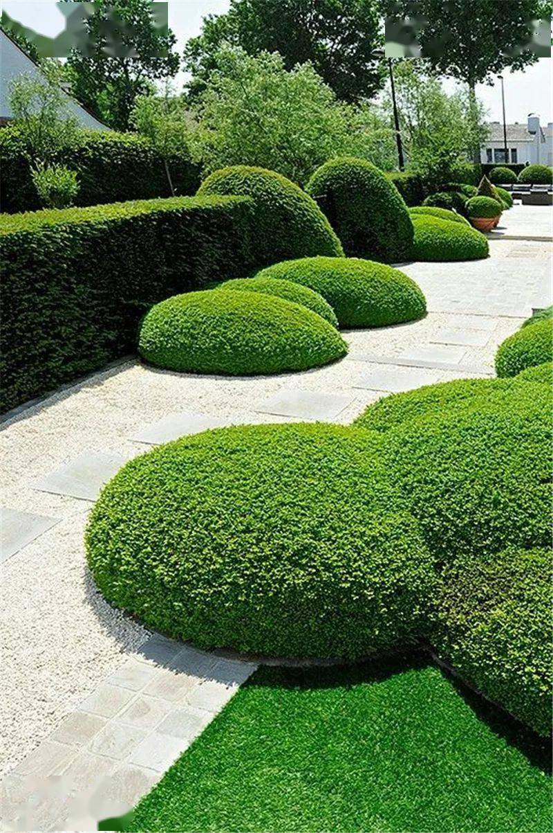 景观绿化知多少