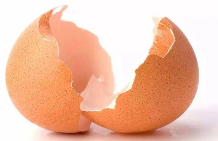 垃圾分类小课堂鸡蛋壳属于什么垃圾