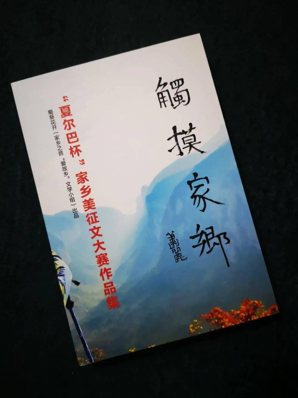 刘效良独在异乡为异客