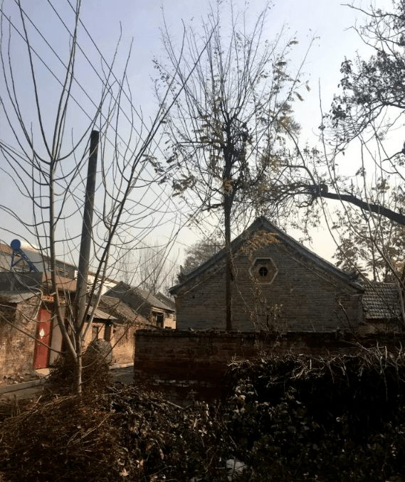 我的老家, 在尉氏的一个小村庄!_手机搜狐网