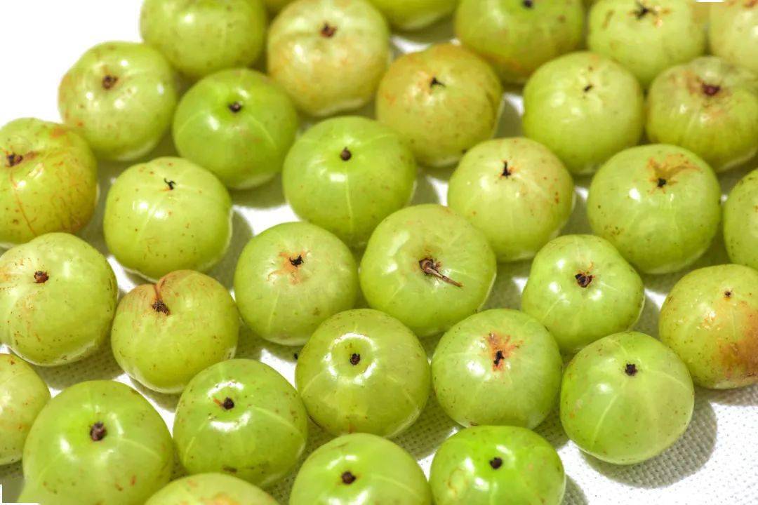 津津乐道越喝越上瘾混果汁299元享门市价64元任选两杯67油柑系列