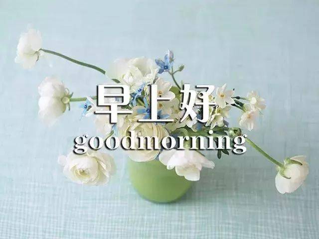 goodmorning微信图片