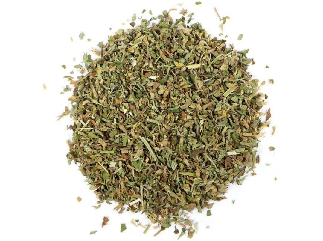 猫薄荷是啥凭什么成为喵星头号兴奋剂文末有福利