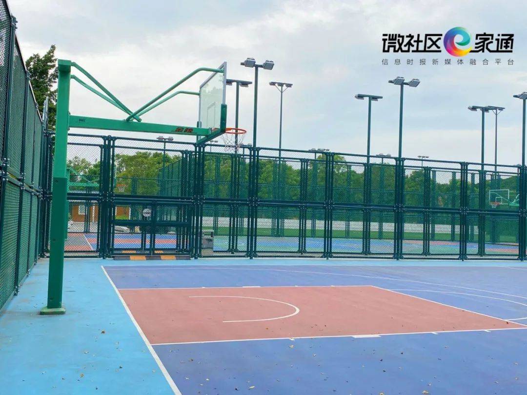 二沙岛体育公园篮球场图片