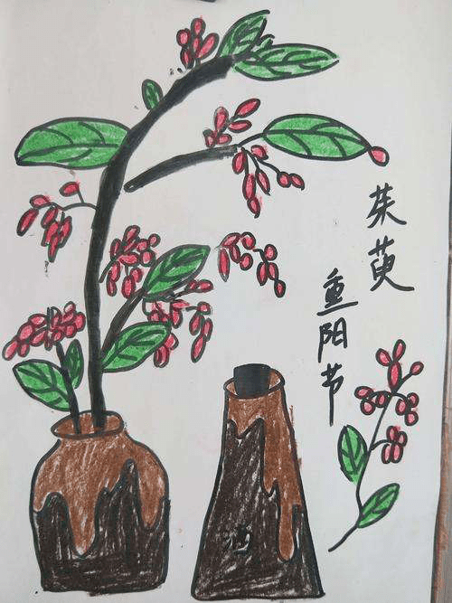 遍插茱萸少一人简笔画图片