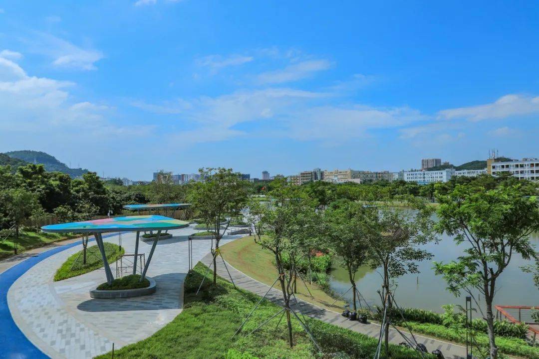 首次曝光720全景身临其境带你漫游宝安人才林公园