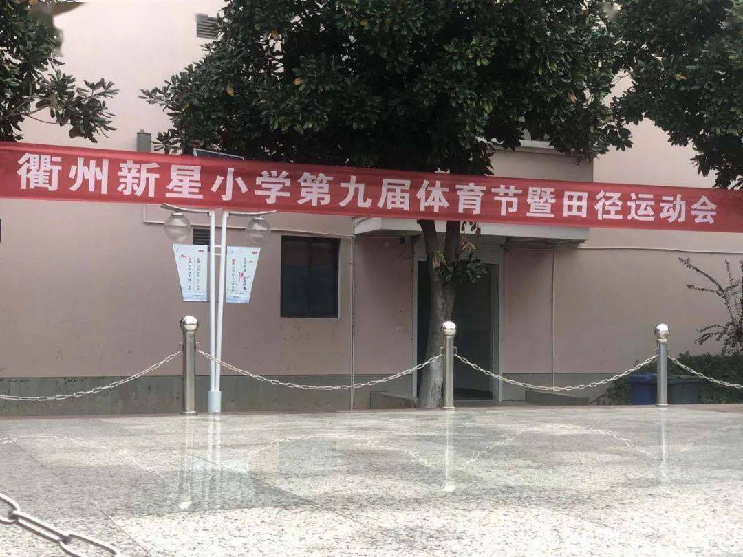 衢州新星小学同学风华茂运动正当时