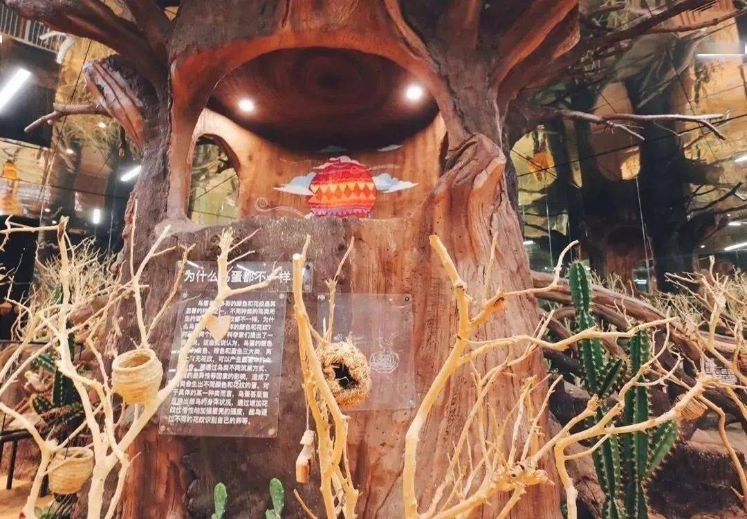 mrzoo小小动物元室内动物园上海5店通用99元抢1大1小亲子门票时下爆火