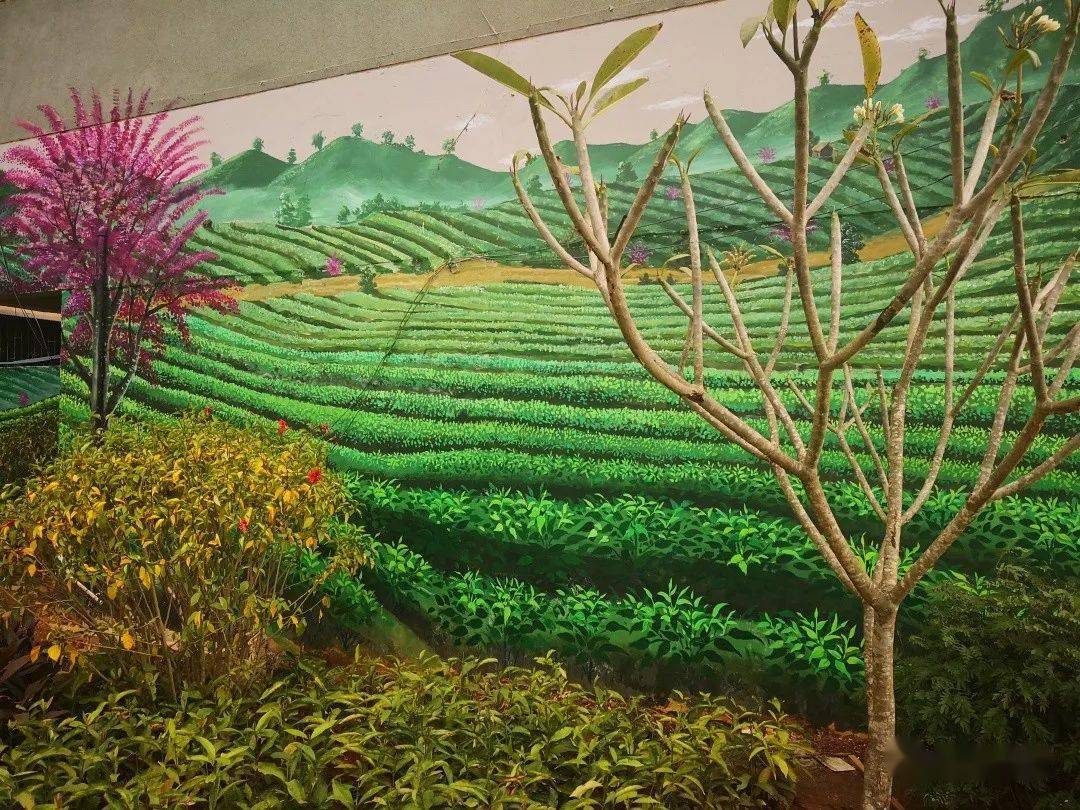 一起来打卡苏醒在墙上的勐海茶61勐海味点亮文艺颜值