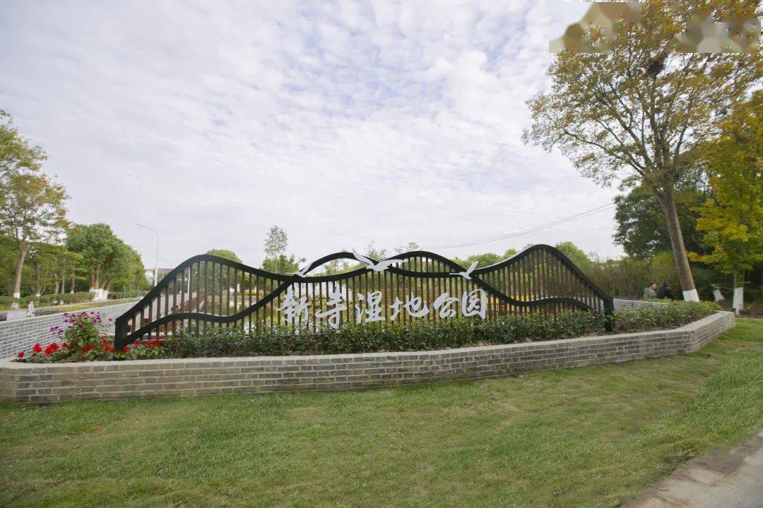 美在生态,富在产业,根在文化,新寺村的美丽蜕变在这里