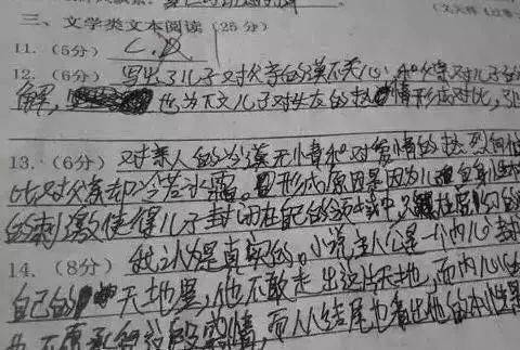 青鸟诗禾练字—书写差,中,高考里总分要被扣30分!_手机搜狐网