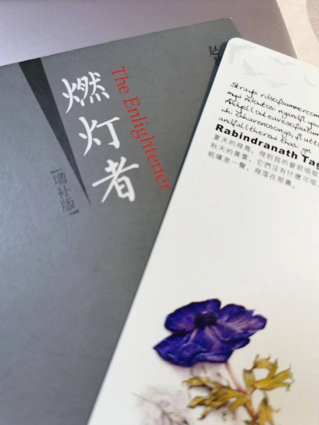 漫漫长夜的守护谁为谁点亮黑暗读赵越胜燃灯者