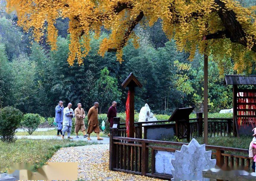 中国泗水安山寺的秋色正美时