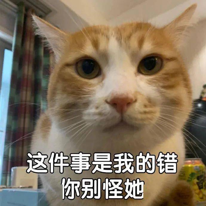 我哪敢说话