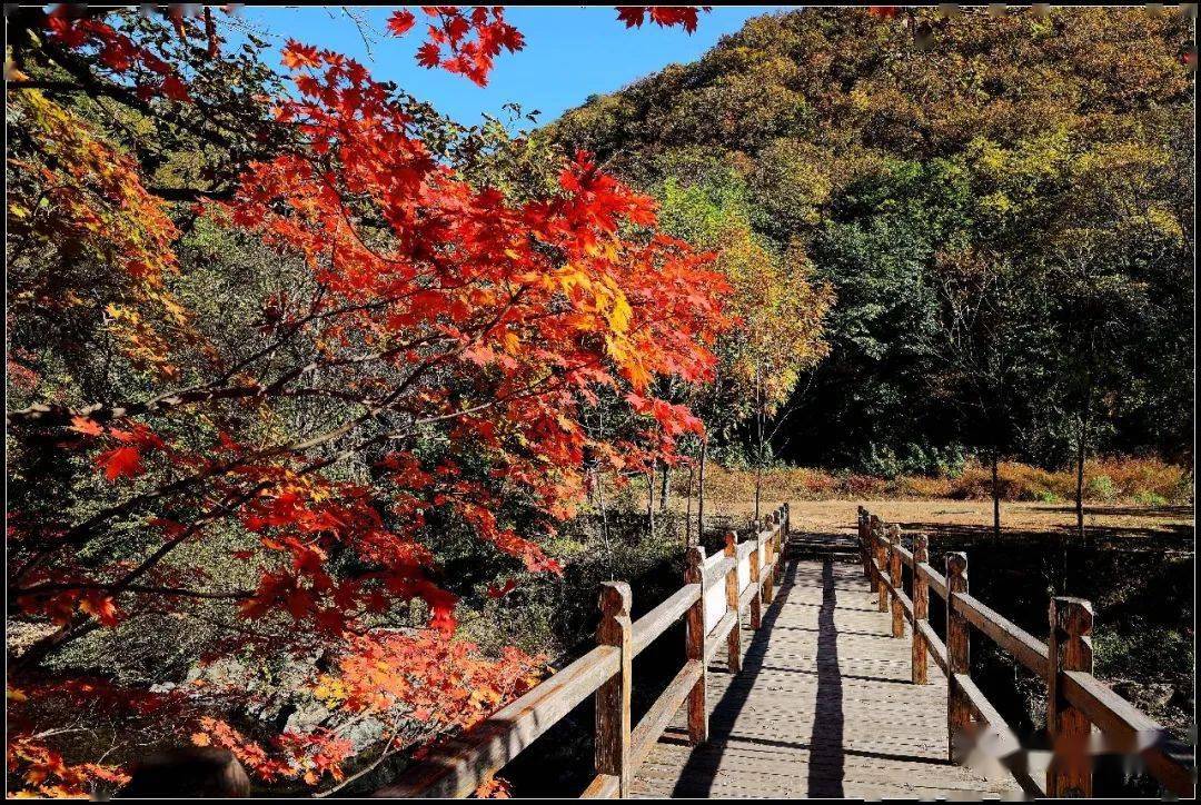 本溪關門山------楓情萬種待來日