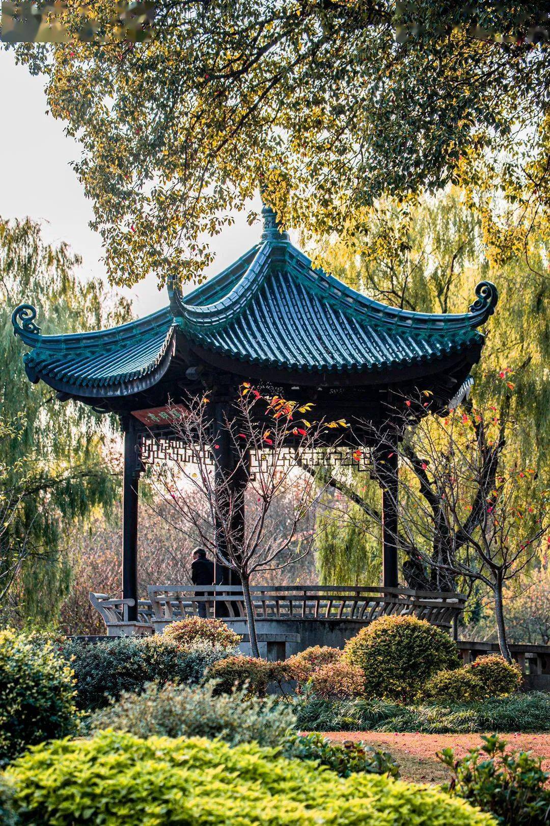 诚邀你和我去梅园共度秋天_招鹤亭