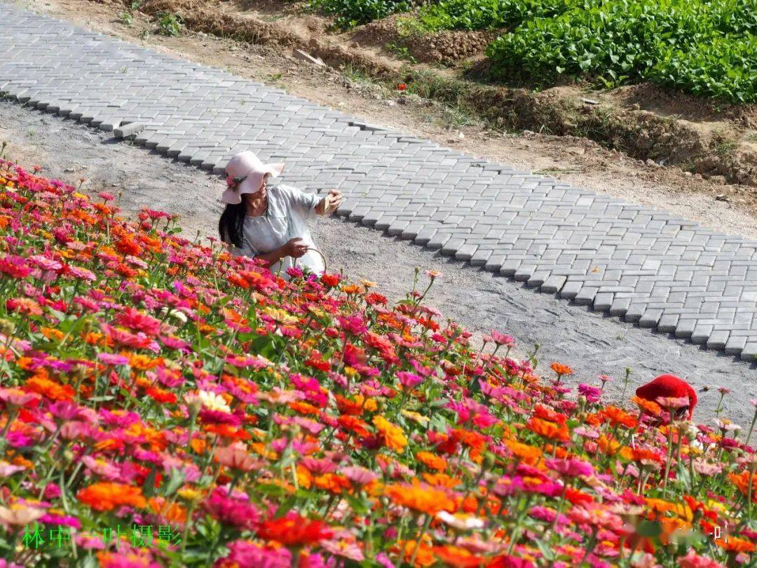 洋光村花堤,风景美如画!_潮州