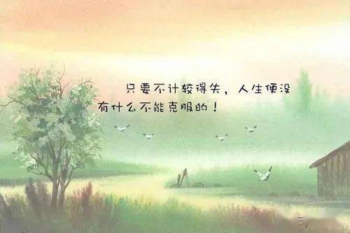 舒服的人生貴在不計較