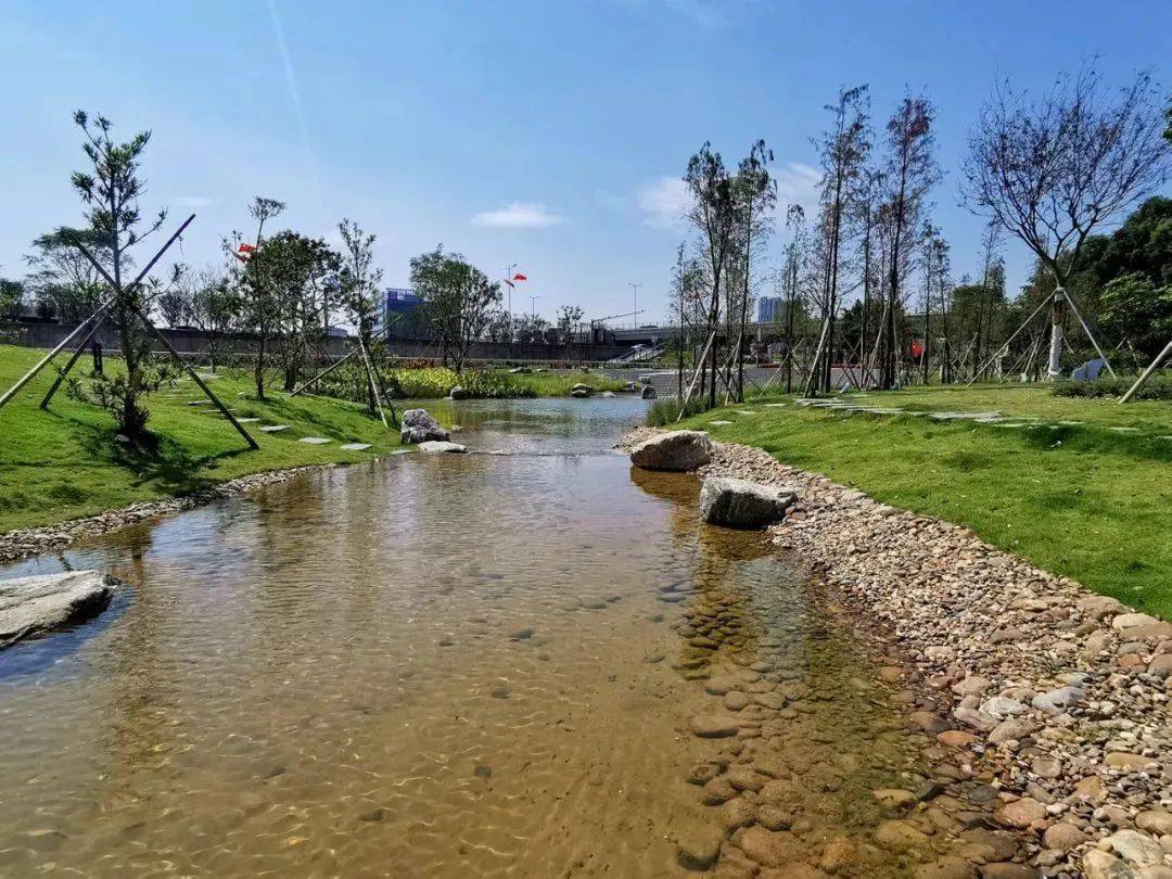 一航治水录光明区楼村湿地公园明湖映天光花径起香尘