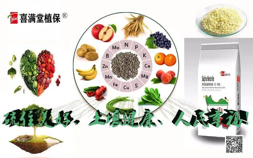 "果尔"新装上市!