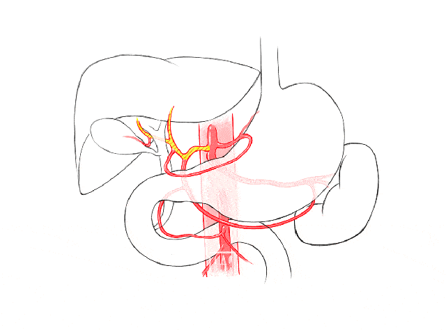 养肝,护肝的一些方法,建议大家收藏!_肝脏