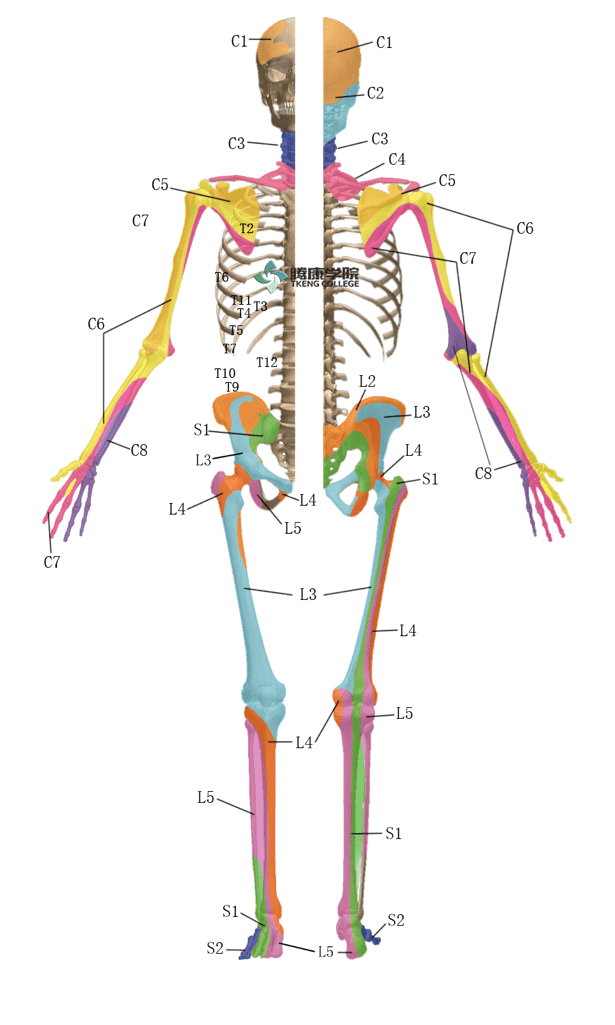 【注意查收】爱书已全部提前发出,感恩有你_神经