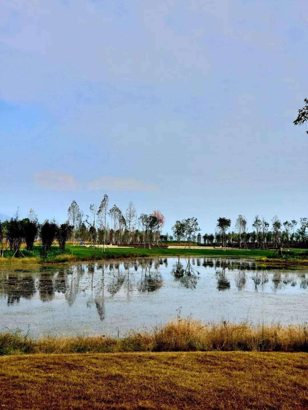 市河湖长办考察学习湖泊保护治理经验