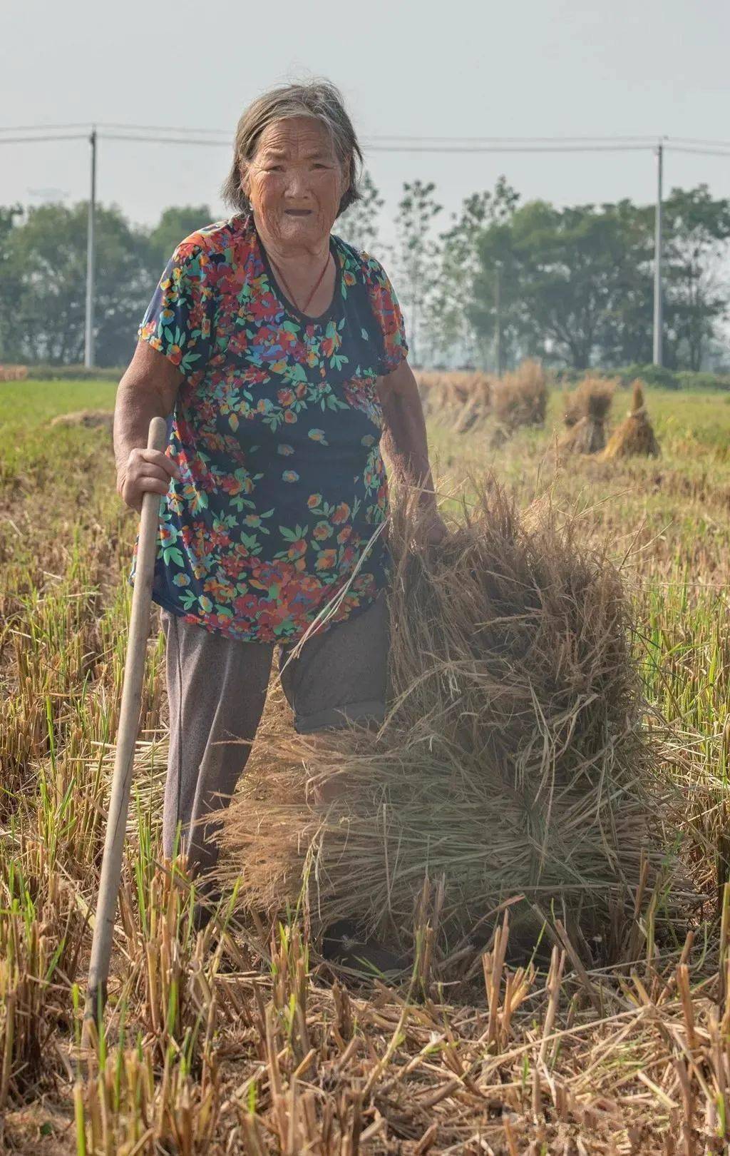 跟着镜头行走乡下这是你印象中的田园生活吗
