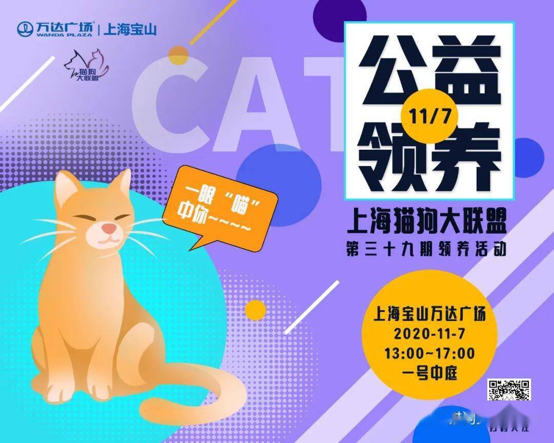 11月7日宝山万达猫狗大联盟宠物领养活动