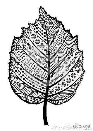 树叶抽象画线条图片