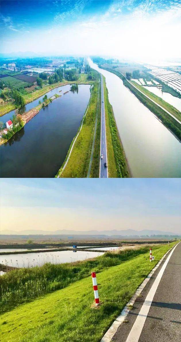 一园自在,一林生活|滁河风光带,一道美景入画来