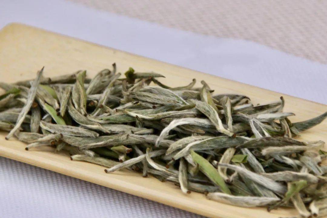 白茶,每一季都有自己的季节气息