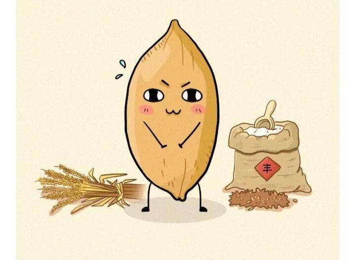 "恰"饭!|| 我是差点被剥夺完整米生的米粒,幸好
