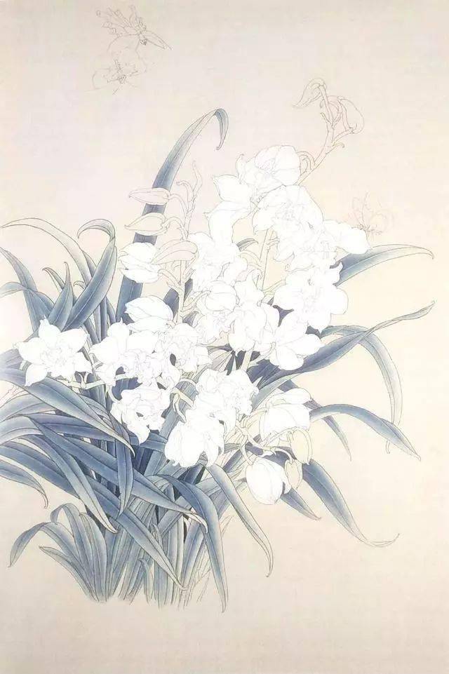 国画教程工笔画兰花清惠