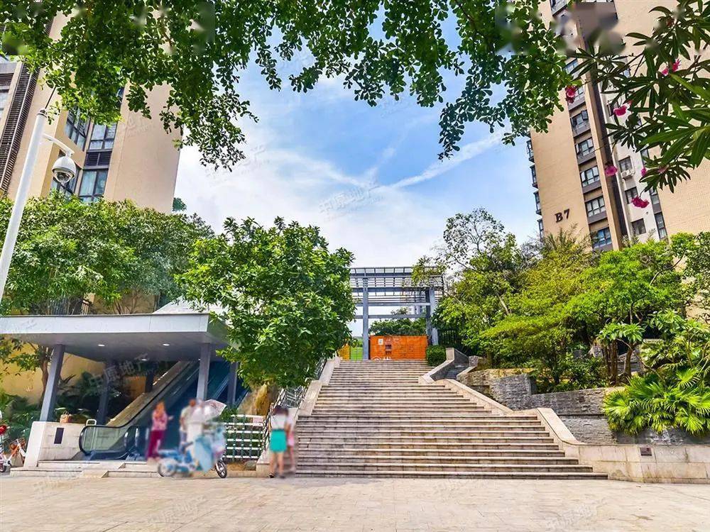 龙岗区外国语学区,星河cocopark加持的大运次新