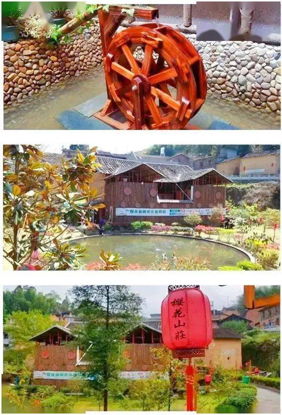 第9站:水洋樱花小镇 | 最浪漫的事,就是在片片樱花下漫步古村_寿宁县