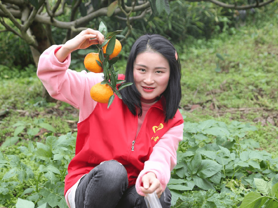 厉行节约 反对浪费 | 采"橘"南山下,城管助力解"困橘"_蜜橘