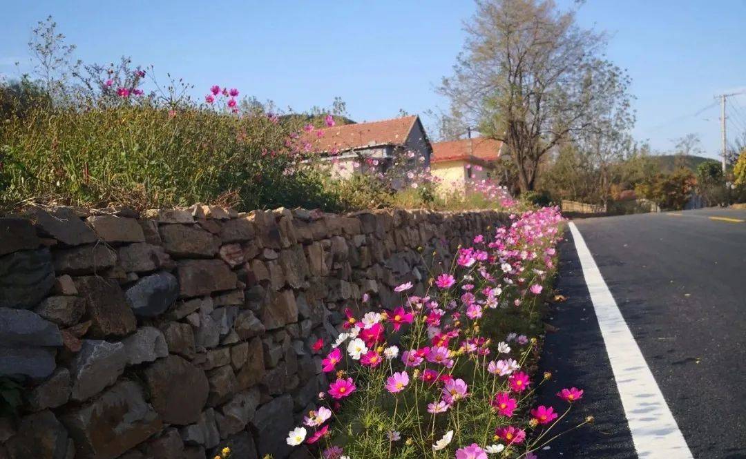 【新时代文明实践】岚山区虎山镇城乡建设齐头并进,发展成果人人共享!